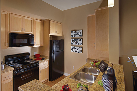 apartment kitchen noho senior arts colony apts 2023
