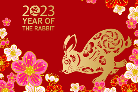 year of the rabbit Noho senior arts colony apts